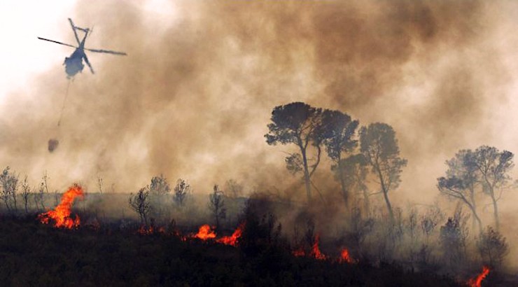 泰安环境检测：亚马孙森林大火对环境影响